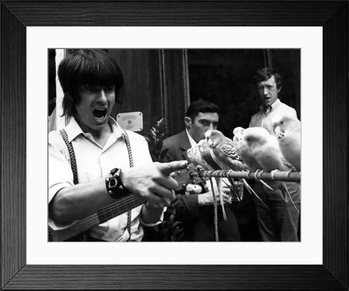 Framed Print : Ok. Girls, lets try it again. Don Crown certainly has the birds in the chorus dancing to Framed Print : Ok. Girls, lets try it again. Don Crown certainly has the birds in the chorus dancing to