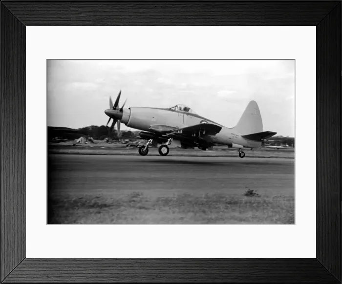 Framed Print : Farnborough Airshow. Westland Wyvern 4. September 1952 C4316a-007 Framed Print : Farnborough Airshow. Westland Wyvern 4. September 1952 C4316a-007