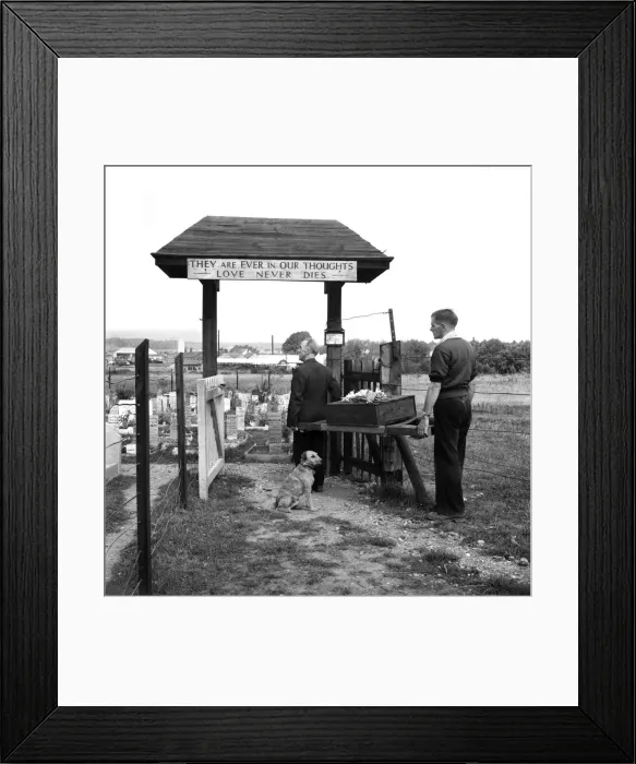 Framed Print : Dogs Cemetery at P. D. S. A. Centre, Woodford, Essex. August 1952 C4044 Framed Print : Dogs Cemetery at P. D. S. A. Centre, Woodford, Essex. August 1952 C4044