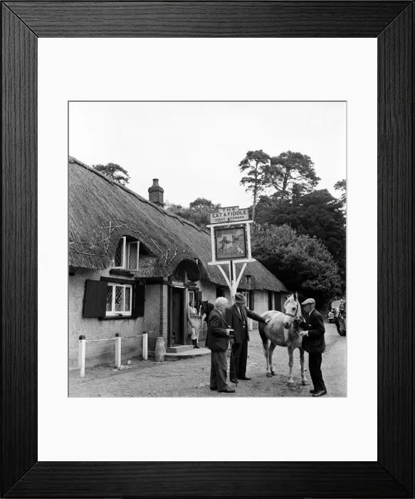 Framed Print : Horse trading at the Cat and Fiddle Inn, in the New Forest. August 1952 C4255 Framed Print : Horse trading at the Cat and Fiddle Inn, in the New Forest. August 1952 C4255