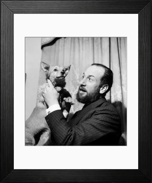 Framed Print : Actor Jose Ferrer and Corgi. August 1952 C4239-001 Framed Print : Actor Jose Ferrer and Corgi. August 1952 C4239-001