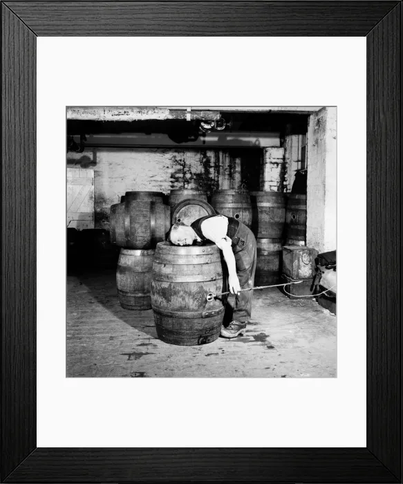 Framed Print : A barrel inspector at work at Hancocks Brewery in Cardiff. July 1952 C3603 Framed Print : A barrel inspector at work at Hancocks Brewery in Cardiff. July 1952 C3603