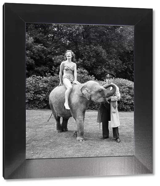 Valli the Elephant with Empress Hall showgirl at Whipsnade Zoo. August 1952 C4028