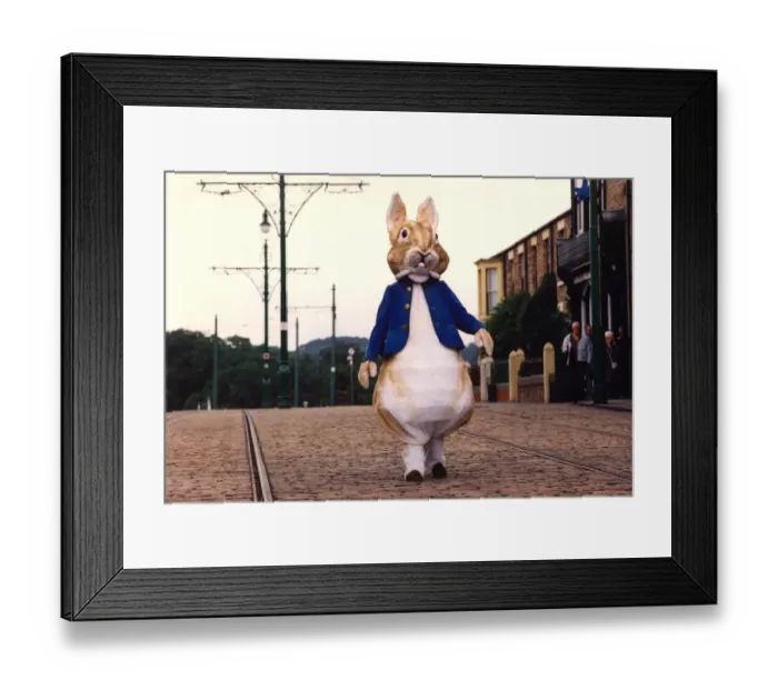 Framed Print : Peter Rabbit, strolls down the main street of Beamish Museum Framed Print : Peter Rabbit, strolls down the main street of Beamish Museum