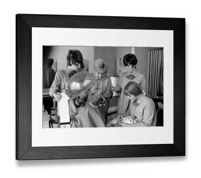 Framed Print : Impey'the pet of Mrs. Anith Doe who owns a Hair Framed Print : Impey'the pet of Mrs. Anith Doe who owns a Hair