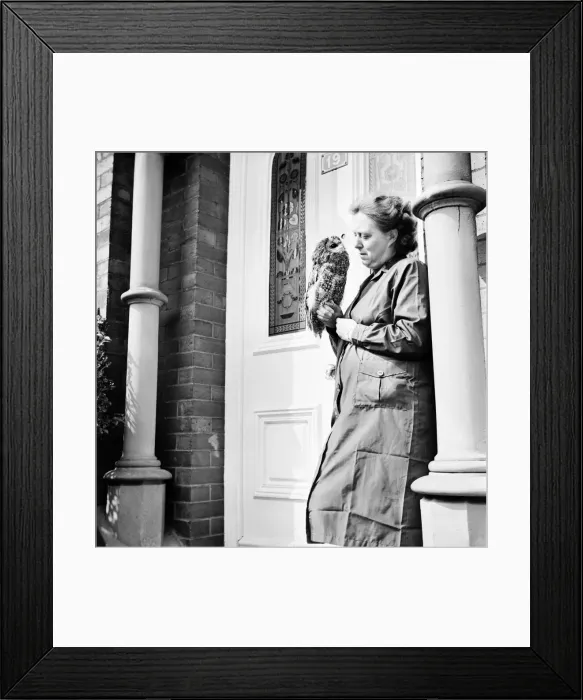 Framed Print : Birds of prey woman holding an owl, named Oily, at the three owls bird sanctuary Framed Print : Birds of prey woman holding an owl, named Oily, at the three owls bird sanctuary