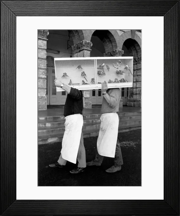 Framed Print : Two workmen carrying some of the first entrants into Alexandra Palace