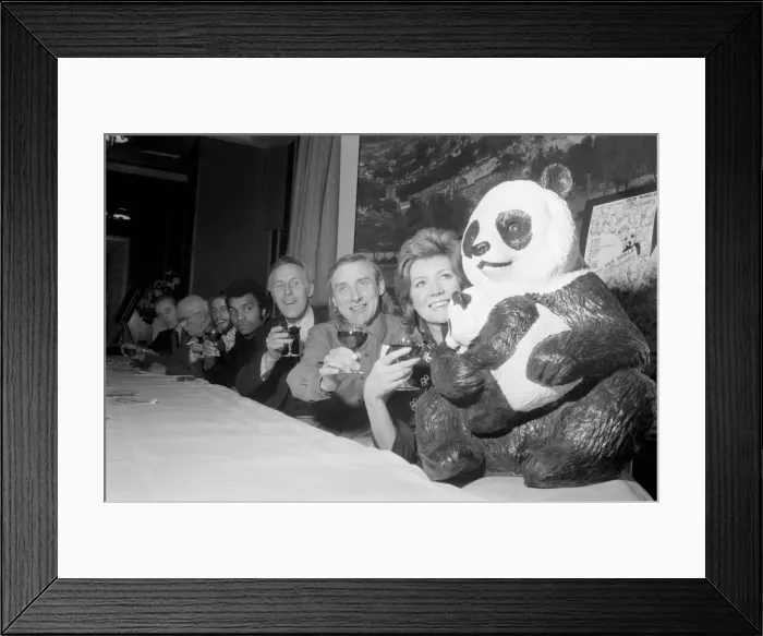 Framed Print : Animals. European Conservation Year beings on January 1st 1970 and the sum of £1 Framed Print : Animals. European Conservation Year beings on January 1st 1970 and the sum of £1