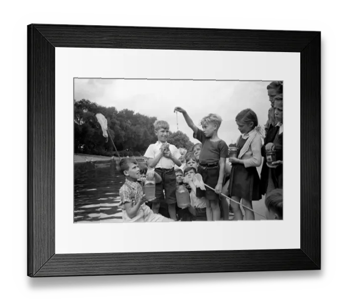 Framed Print : Children fishing in Barking Park. August 1952 C3848 Framed Print : Children fishing in Barking Park. August 1952 C3848