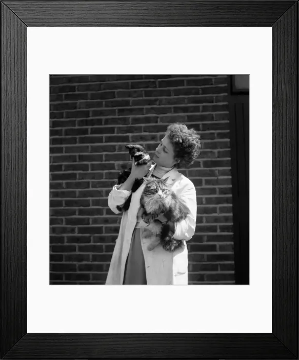 Framed Print : Frances Dunne with her pet cats. May 1952 C2841-003 Framed Print : Frances Dunne with her pet cats. May 1952 C2841-003