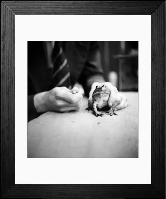 Framed Print : A singing Frog from Kenya. June 1952 C2769 - 003 Framed Print : A singing Frog from Kenya. June 1952 C2769 - 003