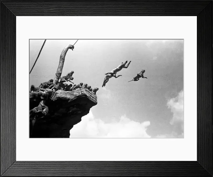 Framed Print : High jumps and long jumps come as very little effort to the monkeys on Monkey Hill Framed Print : High jumps and long jumps come as very little effort to the monkeys on Monkey Hill