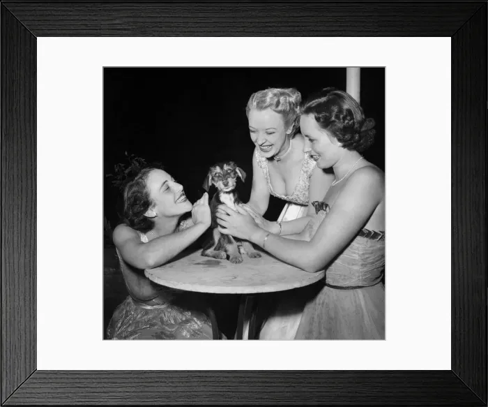 Framed Print : Miss Dallas Ruming and Pamela Russell admiring Skittles the dog Framed Print : Miss Dallas Ruming and Pamela Russell admiring Skittles the dog