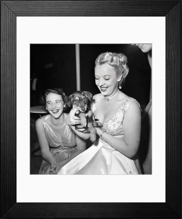Framed Print : Actress Joy Nichols holding a small dog at a dinner party. July 1952 C3475-001 Framed Print : Actress Joy Nichols holding a small dog at a dinner party. July 1952 C3475-001