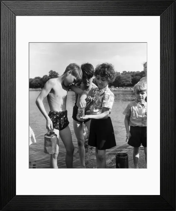 Framed Print : Boys and girls compare their catches after fishing for minnows in Kensington Gardens Framed Print : Boys and girls compare their catches after fishing for minnows in Kensington Gardens