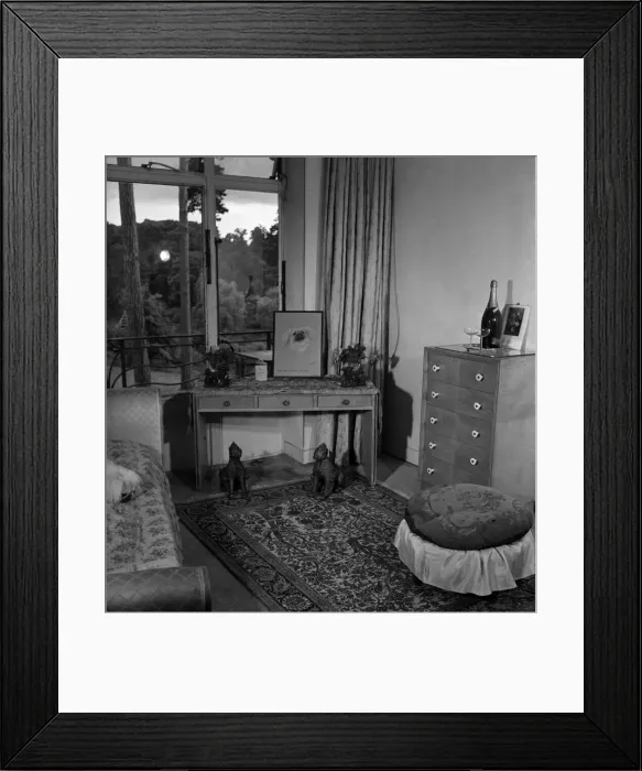 Framed Print : Mrs. E. Giloert. Pekinese Dogs. June 1952 C2813-001 Framed Print : Mrs. E. Giloert. Pekinese Dogs. June 1952 C2813-001