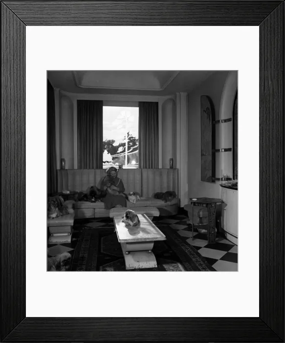 Framed Print : Mrs. E. Gilbert seen here with her Pekinese dogs. June 1952 C2813-002