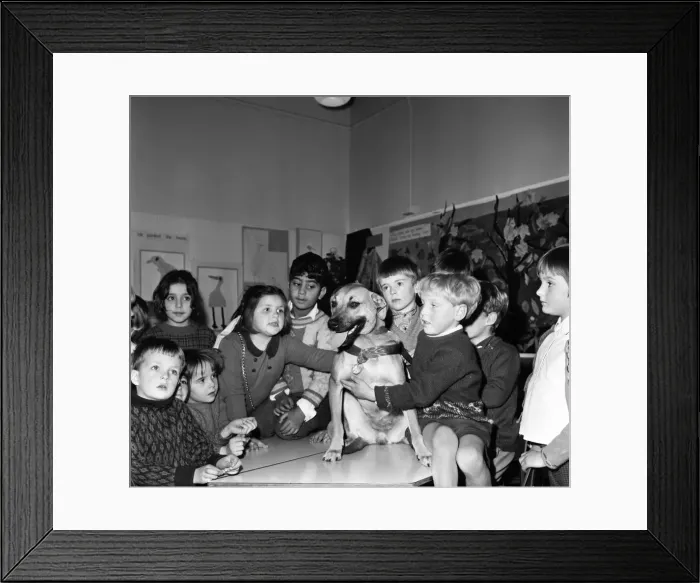 Framed Print : Lady with some of the children of Primet Primary school, Colne today. Z11251-002 Framed Print : Lady with some of the children of Primet Primary school, Colne today. Z11251-002