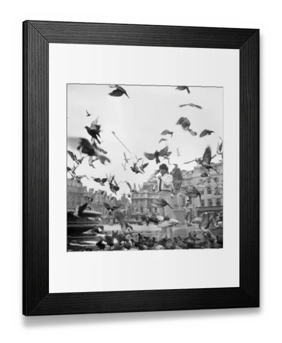 Framed Print : 17 year old Bindi Williams an aboriginal boy actor, flew into London to see the first Framed Print : 17 year old Bindi Williams an aboriginal boy actor, flew into London to see the first