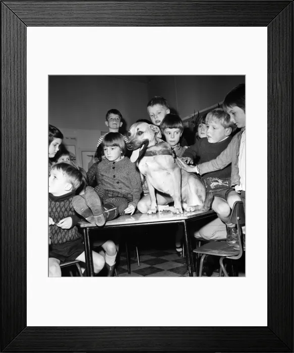 Framed Print : Lady with some of the children of Primet Primary school, Colne today, Wed Framed Print : Lady with some of the children of Primet Primary school, Colne today, Wed