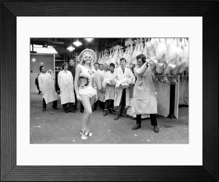 Framed Print : Fashions of the 11th Annual Poultry Feather Hat Competition were being shown at the CafAoe