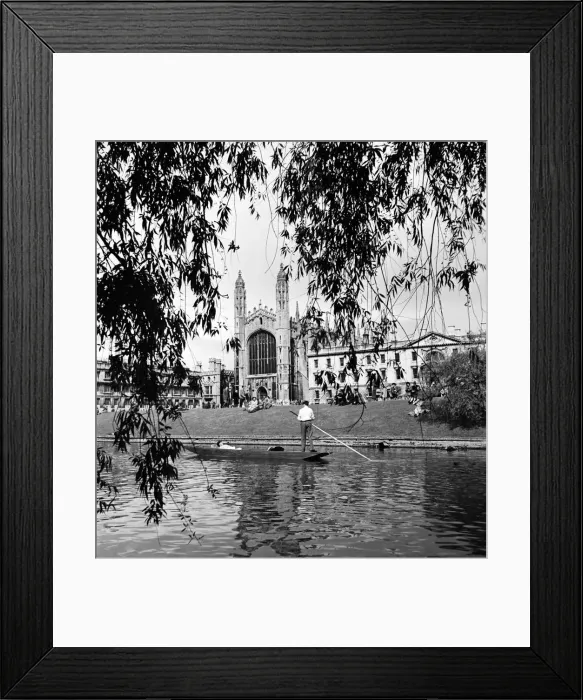 Framed Print : Students punt along the The Backs, on the Cam River, Cambridge Framed Print : Students punt along the The Backs, on the Cam River, Cambridge