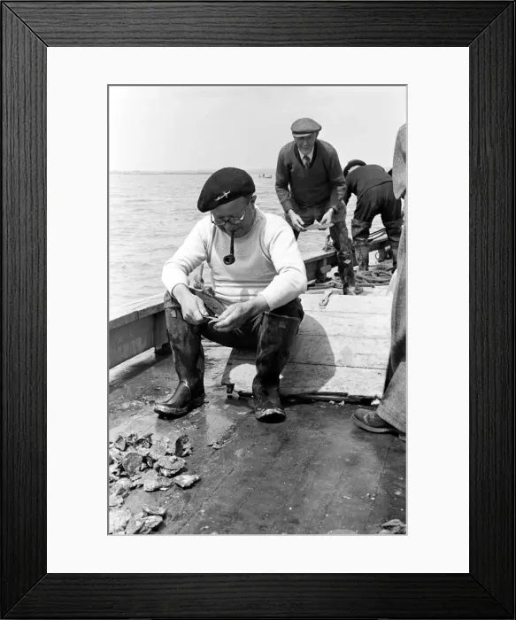 Framed Print : Oyster fishermen of Colchester at work in the River Blackwater and in the North Sea Framed Print : Oyster fishermen of Colchester at work in the River Blackwater and in the North Sea