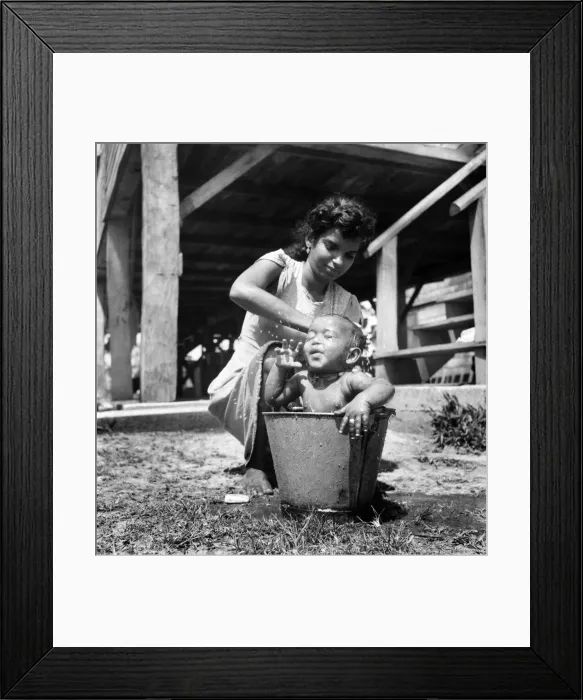 Framed Print : British Guiana: While driving through the out-skirts of George town I saw this amusing