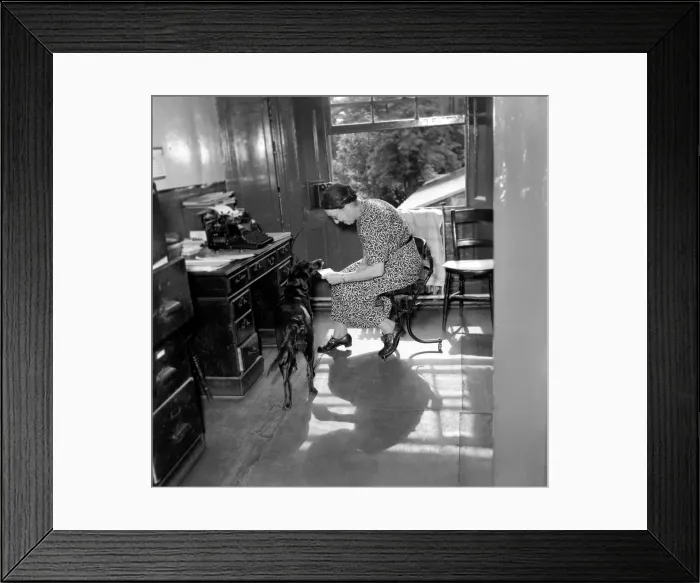 Framed Print : Black mongrel Susan who lives in a block of offices at 7, Bruce Grove, Tottenham Framed Print : Black mongrel Susan who lives in a block of offices at 7, Bruce Grove, Tottenham