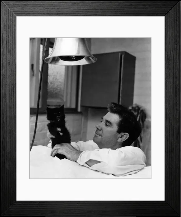 Framed Print : Inspctor Tom Nolan who saved Soot the cat, pictured with the kitten under a heat lamp