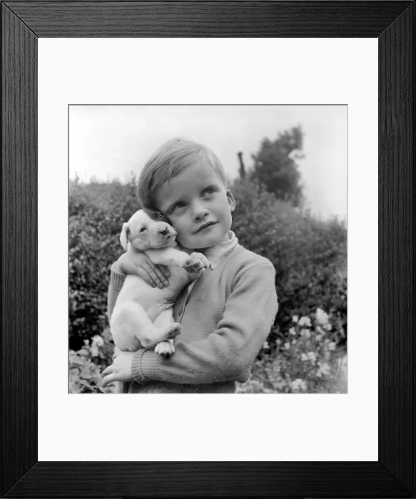 Framed Print : Dogs. Its the finest present he could possibly have. A puppy of his own Framed Print : Dogs. Its the finest present he could possibly have. A puppy of his own