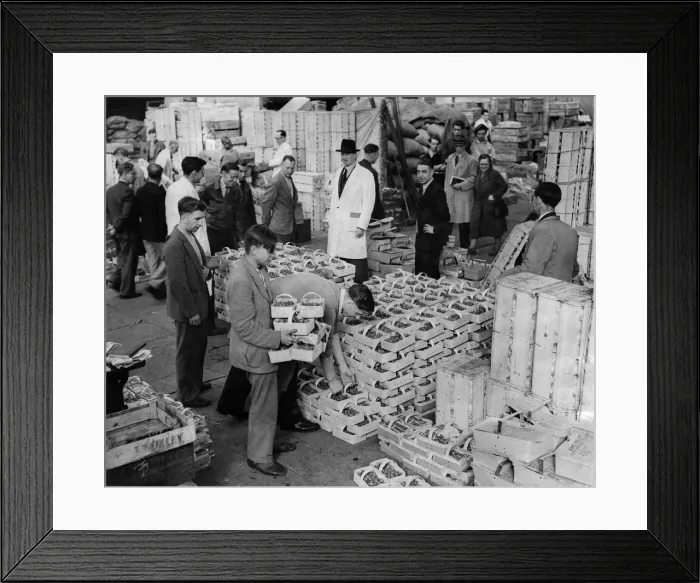Framed Print : No cream but the cream of strawberries. Wholesaler Mr. Thomas Donley (white coat
