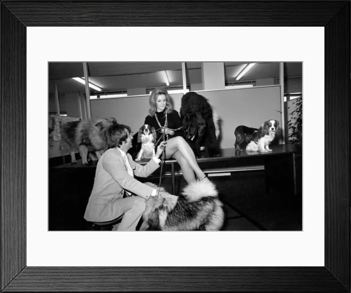 Framed Print : Entertainment Television: Today Thames Television were auditioning for a girl