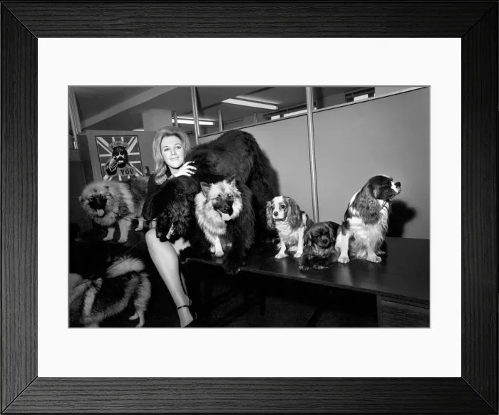 Framed Print : Entertainment Television: Today Thames Television were auditioning for a girl
