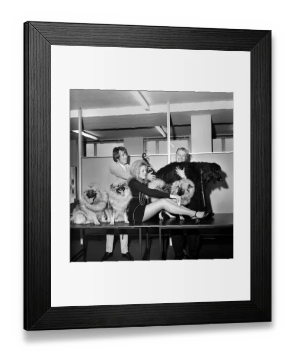 Framed Print : Thames Television are auditioning for a girl and a dog to star in the play