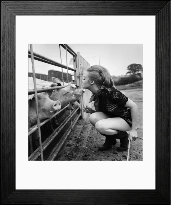 Framed Print : Woman with pig at her relatives farm. October 1969 Z10481-001