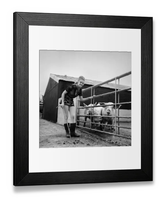 Framed Print : Woman with pig at her relatives farm. October 1969 Z10481