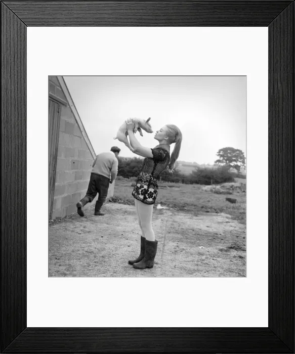 Framed Print : Woman with pig at her relatives farm. October 1969 Z10481-004 Framed Print : Woman with pig at her relatives farm. October 1969 Z10481-004