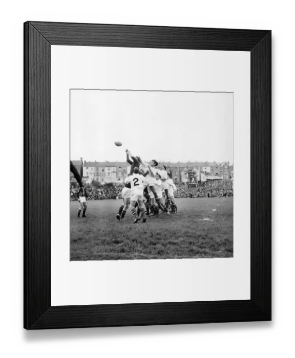 Framed Print : Swansea v. South Africa. Caselse of South Africa (dark shirt