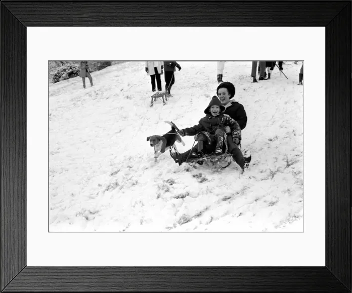Framed Print : Weather snow scenes at Hampstead Heath. Winter: Even the little dog loves the thrill of