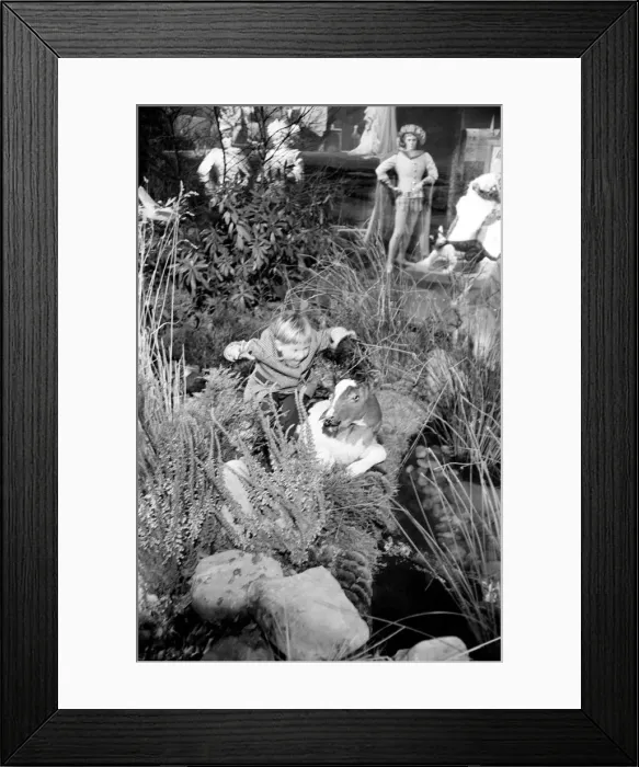 Framed Print : A display the largest in London, was put on by Courtalds for their 11th Christmas Framed Print : A display the largest in London, was put on by Courtalds for their 11th Christmas