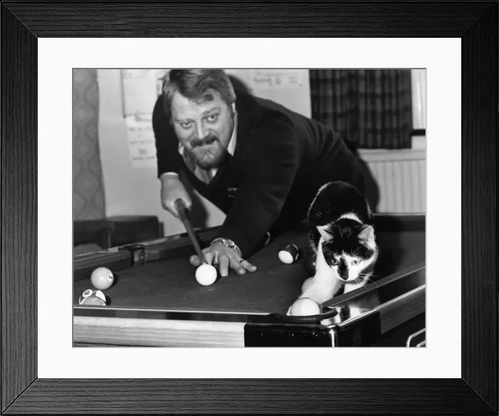 Framed Print : Judd the cat playing pool with landlord Brian Nevin at the pub in Eckington, Derbyshire Framed Print : Judd the cat playing pool with landlord Brian Nevin at the pub in Eckington, Derbyshire