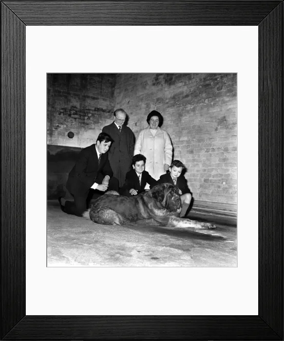 Framed Print : Mr. Glynn Pierce-Jones, his wife Evelyn, and their three sons John, 17, Robert, 13