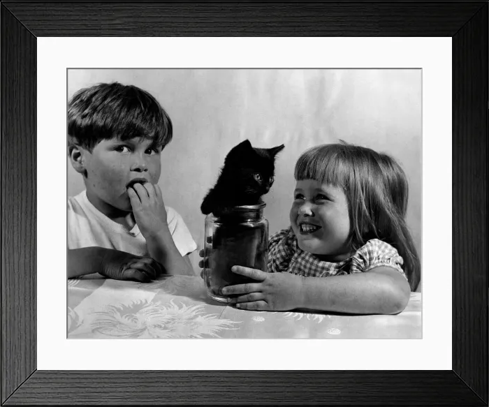 Framed Print : Potted Puss the kitten playing inside a jam jar with Ralston twins Jolyion Framed Print : Potted Puss the kitten playing inside a jam jar with Ralston twins Jolyion