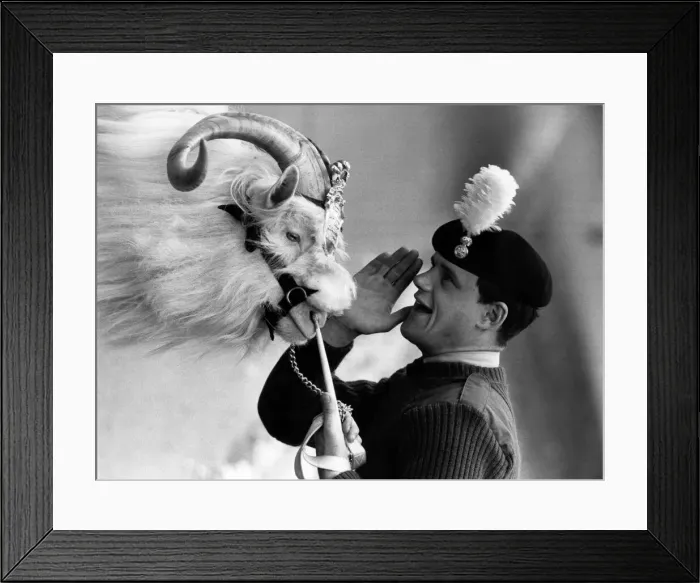 Framed Print : Billy the goat with minder Peter Wadey. October 1985 P011768 Framed Print : Billy the goat with minder Peter Wadey. October 1985 P011768