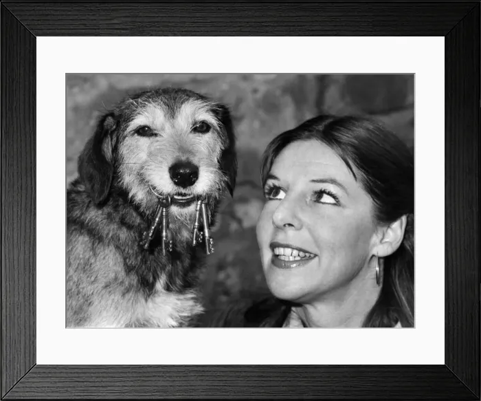 Framed Print : Not just a pretty face applies as much to superdog Savage as it does to his absent-minded Framed Print : Not just a pretty face applies as much to superdog Savage as it does to his absent-minded