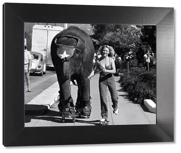 Freewheeling Tarra the elephant and Carol Buckley. July 1980 P011798