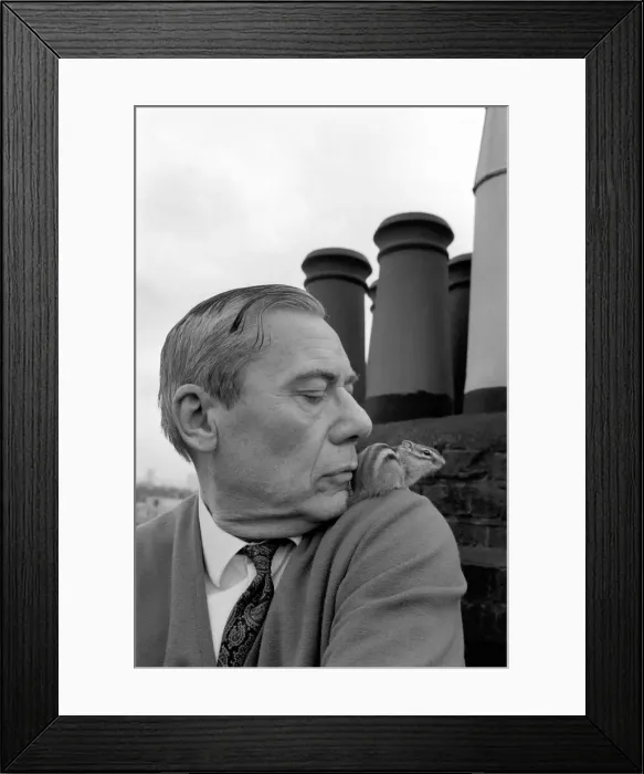 Framed Print : Author Mr. Gert Helemae or Campden Hill Mansions, Edge Street, London, W. 8 Framed Print : Author Mr. Gert Helemae or Campden Hill Mansions, Edge Street, London, W. 8