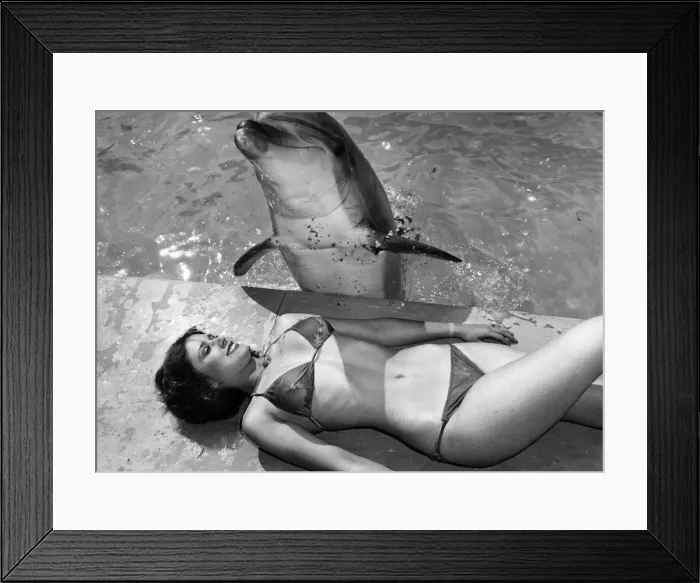 Framed Print : Angie the dolphin keeps her pal Carolyn cool at Windsor where the Safari Park secretary Framed Print : Angie the dolphin keeps her pal Carolyn cool at Windsor where the Safari Park secretary