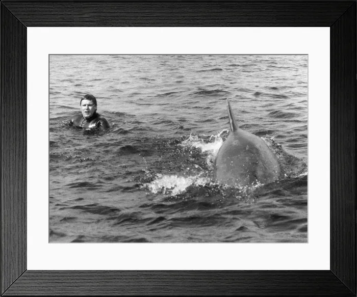 Framed Print : Percy the dolphin pops up to say hello to a lakeman. August 1983 P011843 Framed Print : Percy the dolphin pops up to say hello to a lakeman. August 1983 P011843
